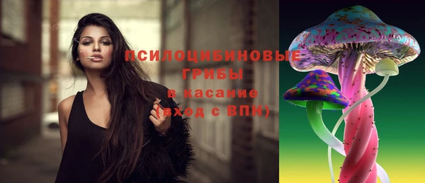мдма Елизово