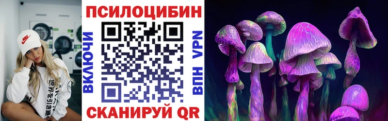 Купить  Ефремов  Псилоцибиновые грибы Magic Shrooms 